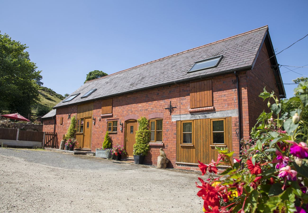 Landhaus in Llangollen - Owl Cottage