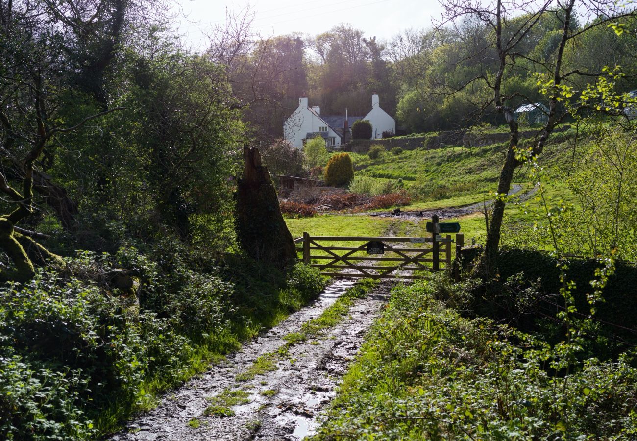 Landhaus in West Down - Lower Aylescott Farmhouse