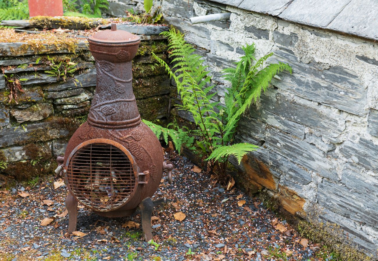 Landhaus in Dolwyddelan - Bron Elan