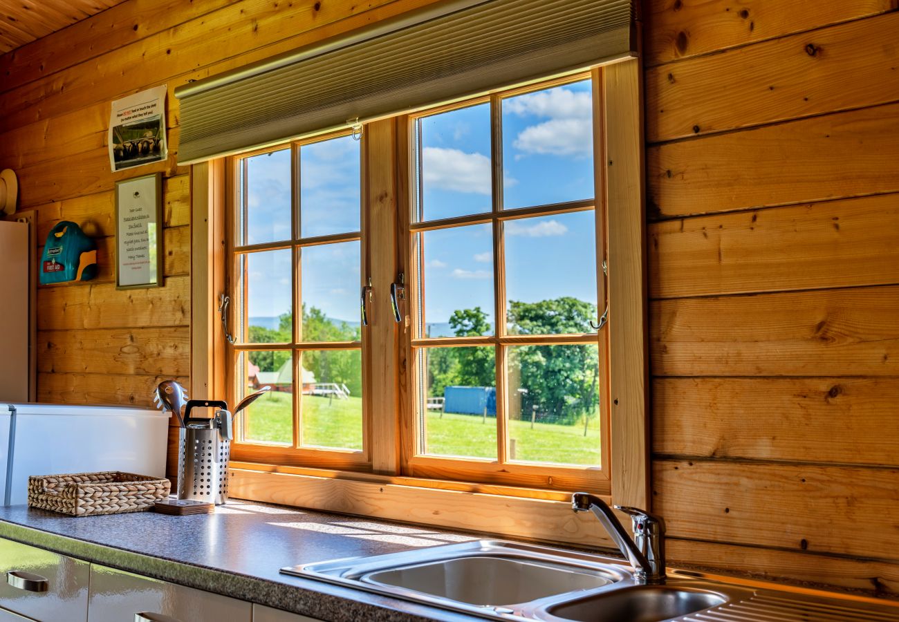 Agrotourismus in Okehampton - Moor View Cabin