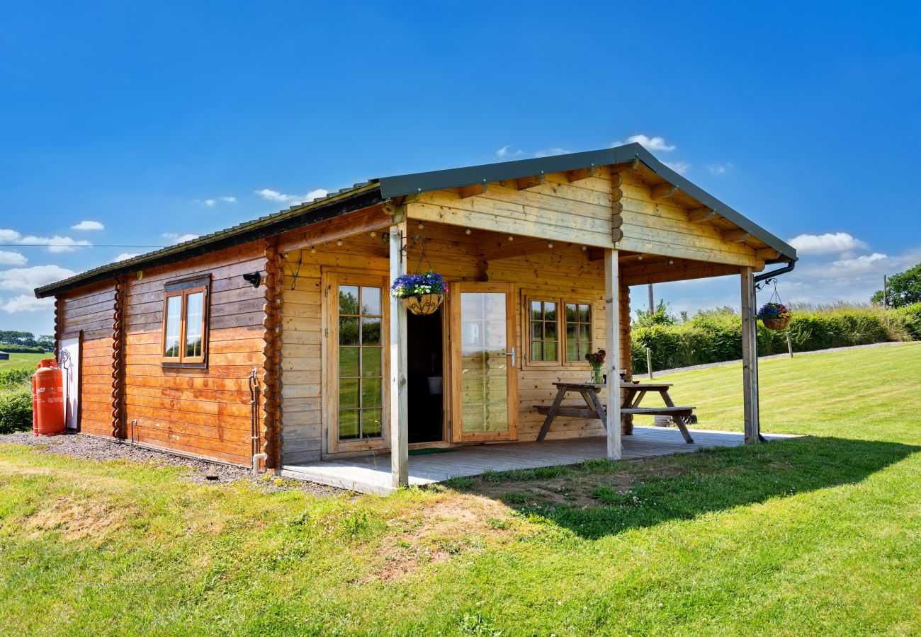 Agrotourismus in Okehampton - Moor View Cabin