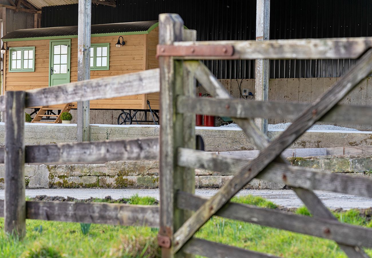 Agrotourismus in Beaworthy - The Shepherd's Hut at Northcombe Farm