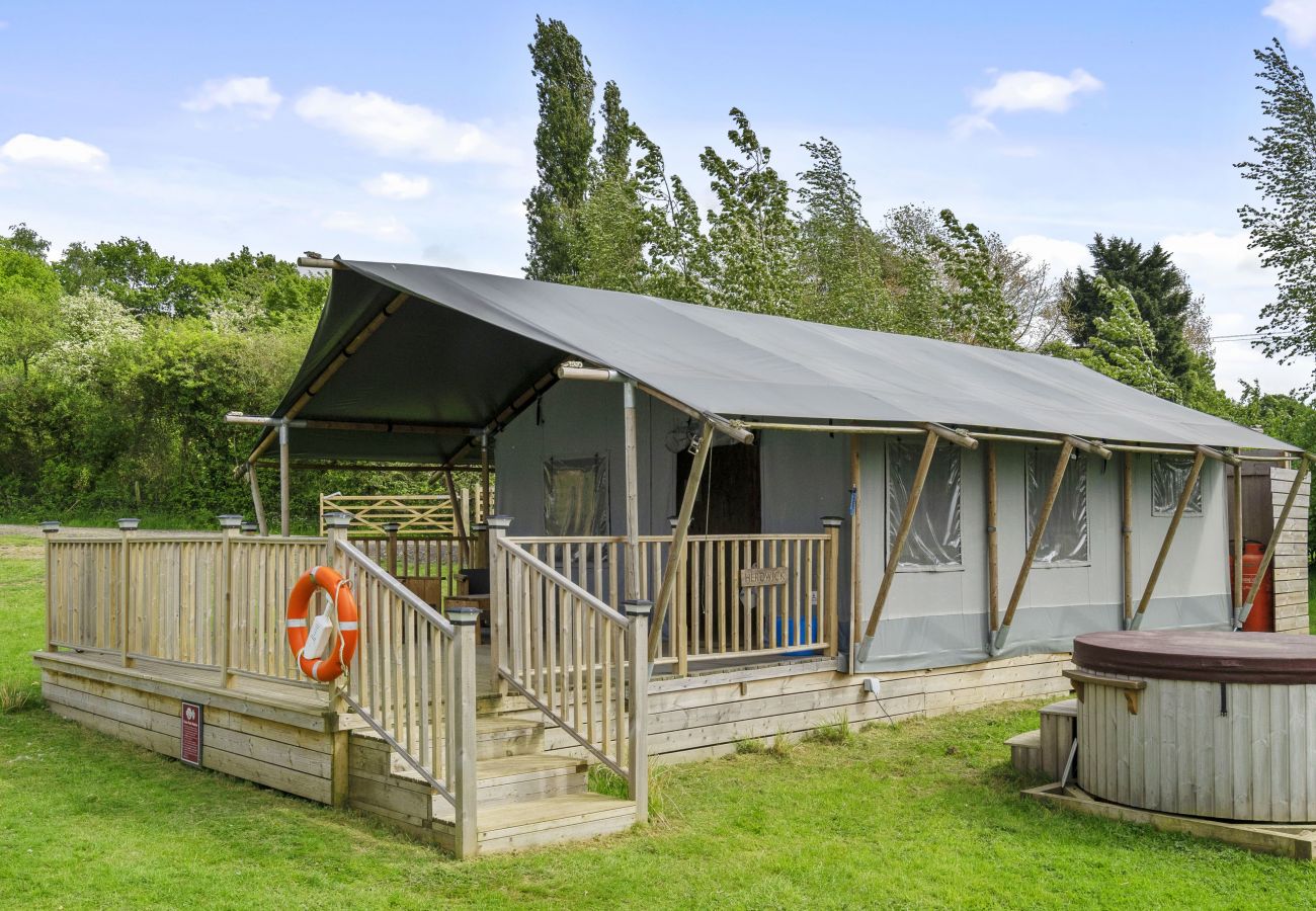 Chalet in Hertford - The Herdwick Safari Tent