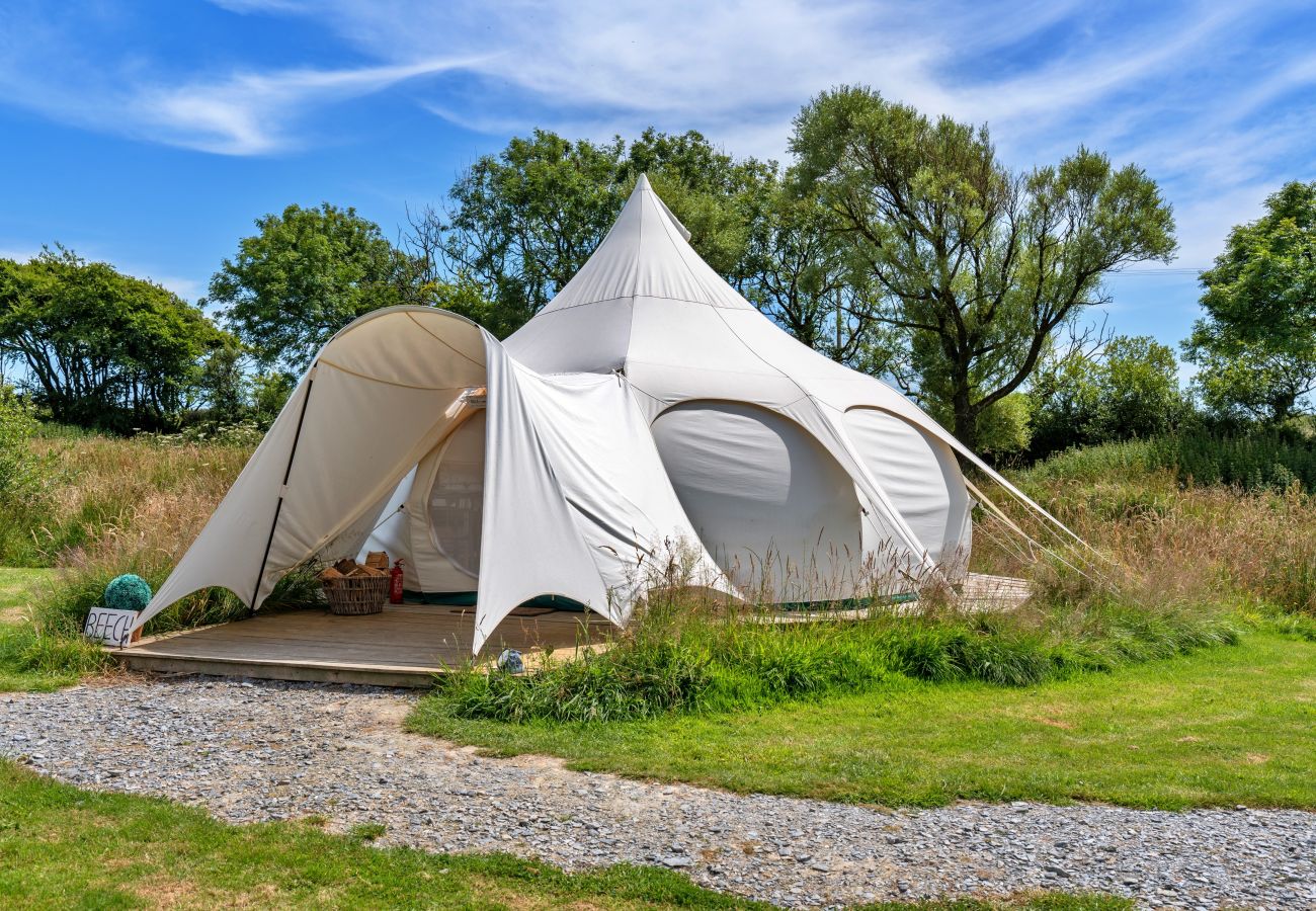 Chalet in Ilfracombe - Beech Lotus Belle Tent