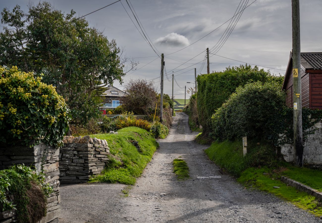 Landhaus in Bossiney - Garden Coombe