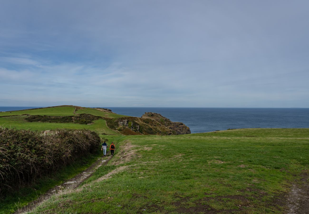 Landhaus in Bossiney - Garden Coombe