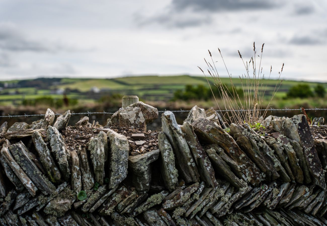 Landhaus in Bossiney - Garden Coombe