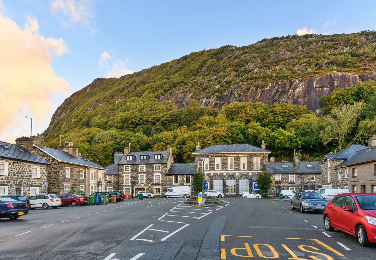 Landhaus in Tremadog - Awelon