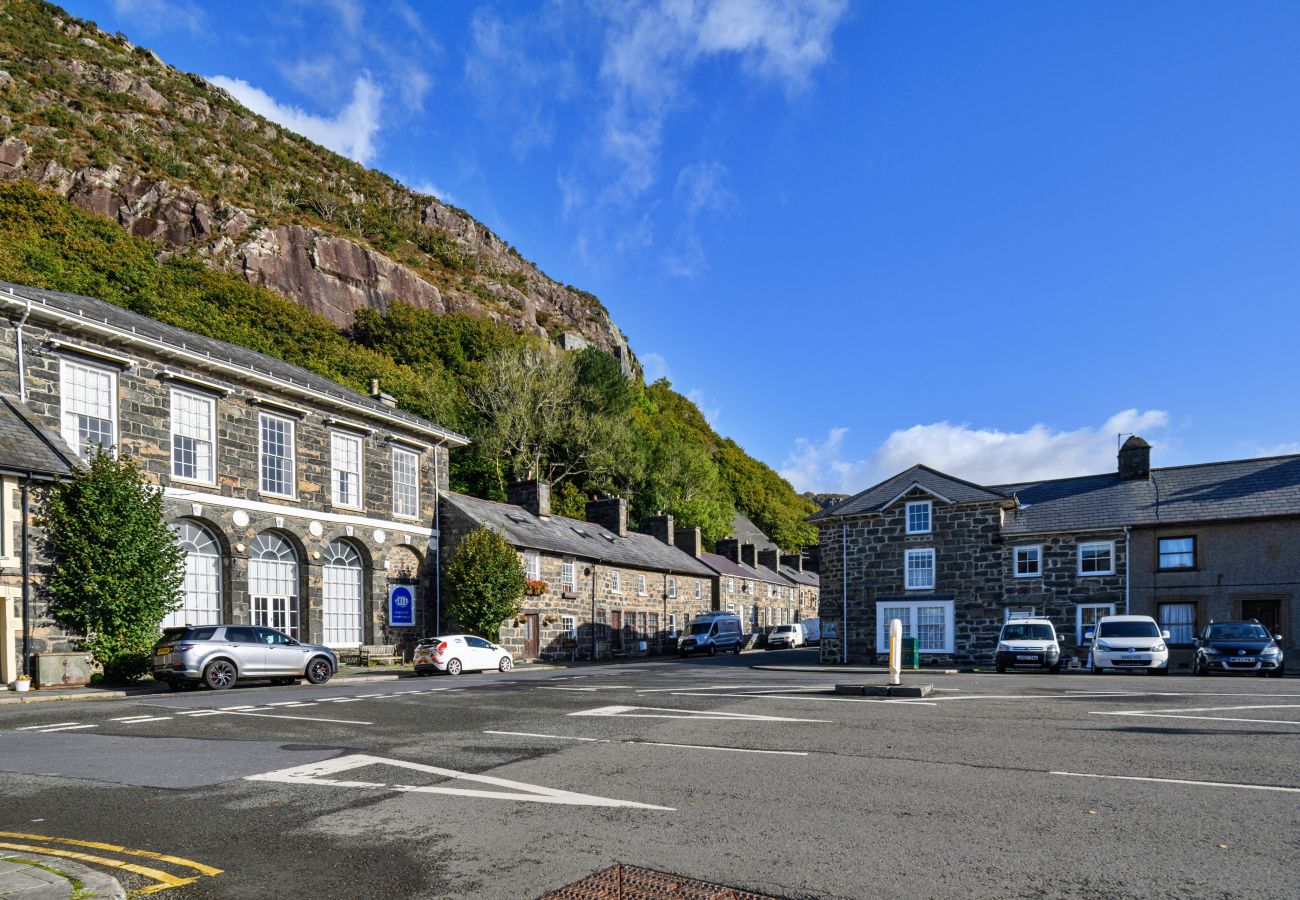 Landhaus in Tremadog - Awelon