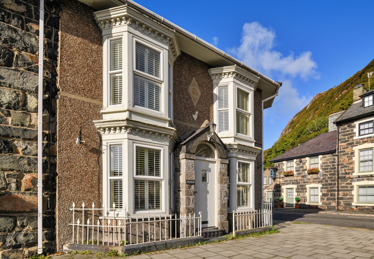 Landhaus in Tremadog - Awelon