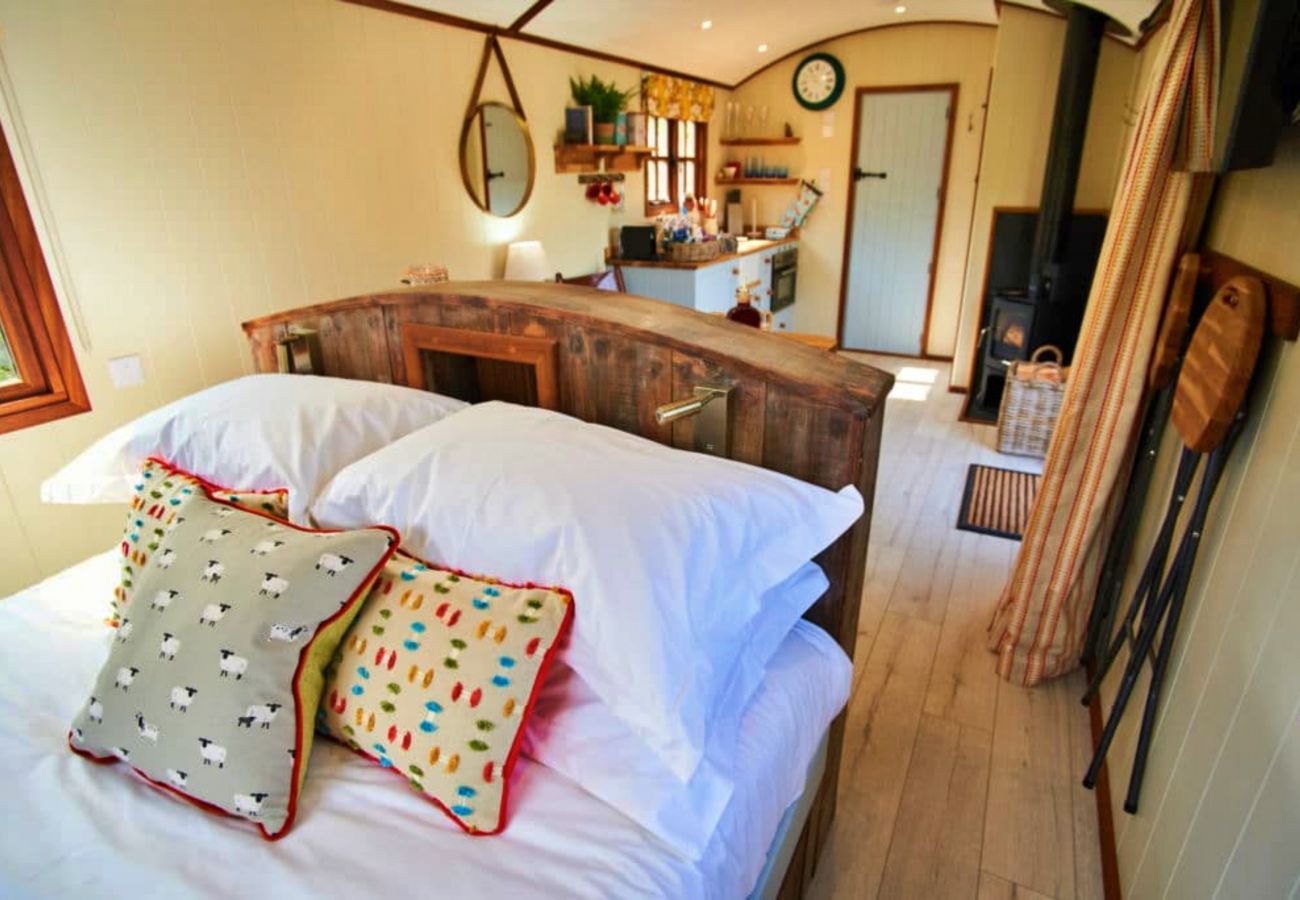 Chalet in Dittisham - Cedar Luxury Shepherds Lodge