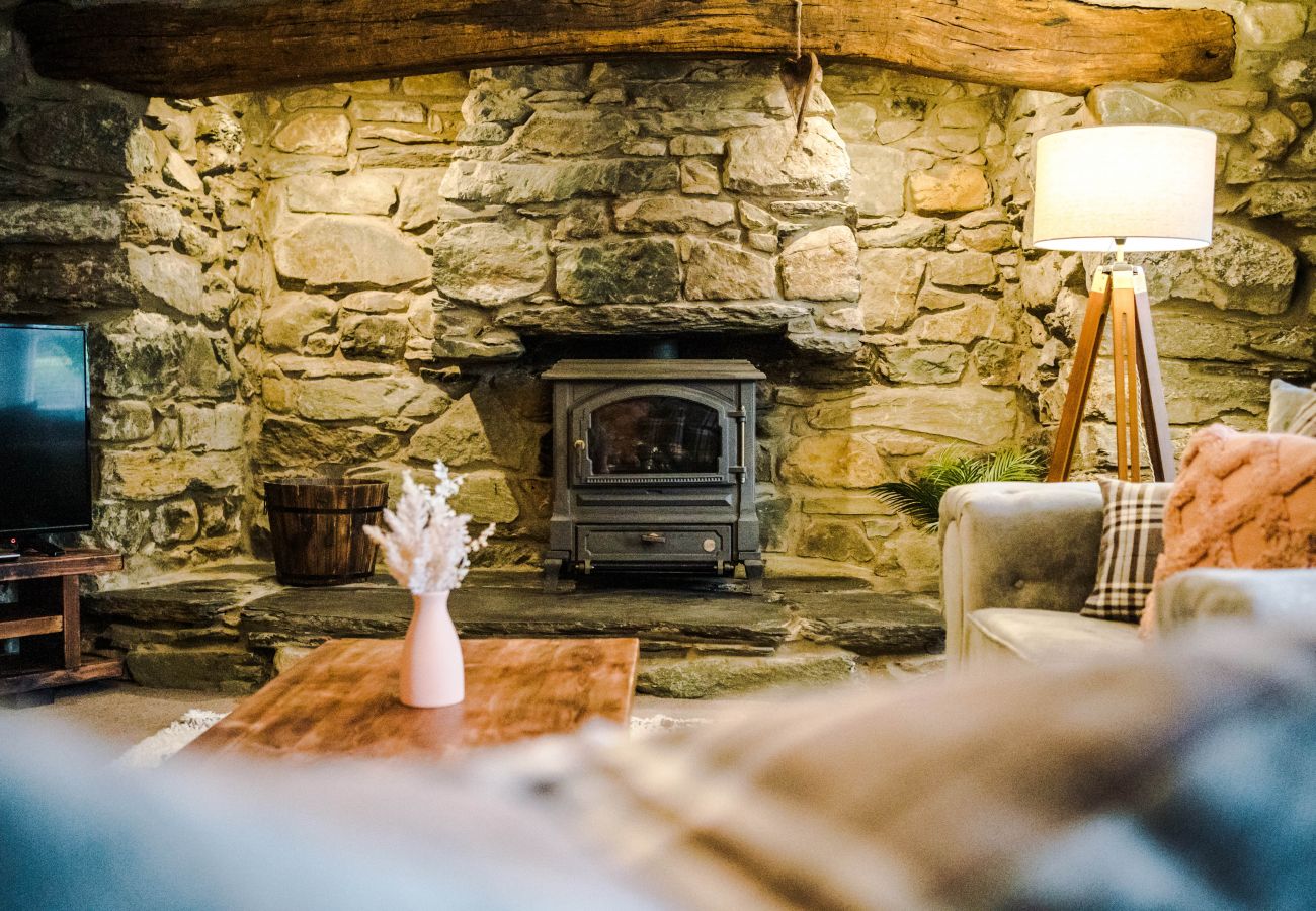 Landhaus in Dolgellau - Cader Cottage (Bwthyn y Llwyn Cottage)