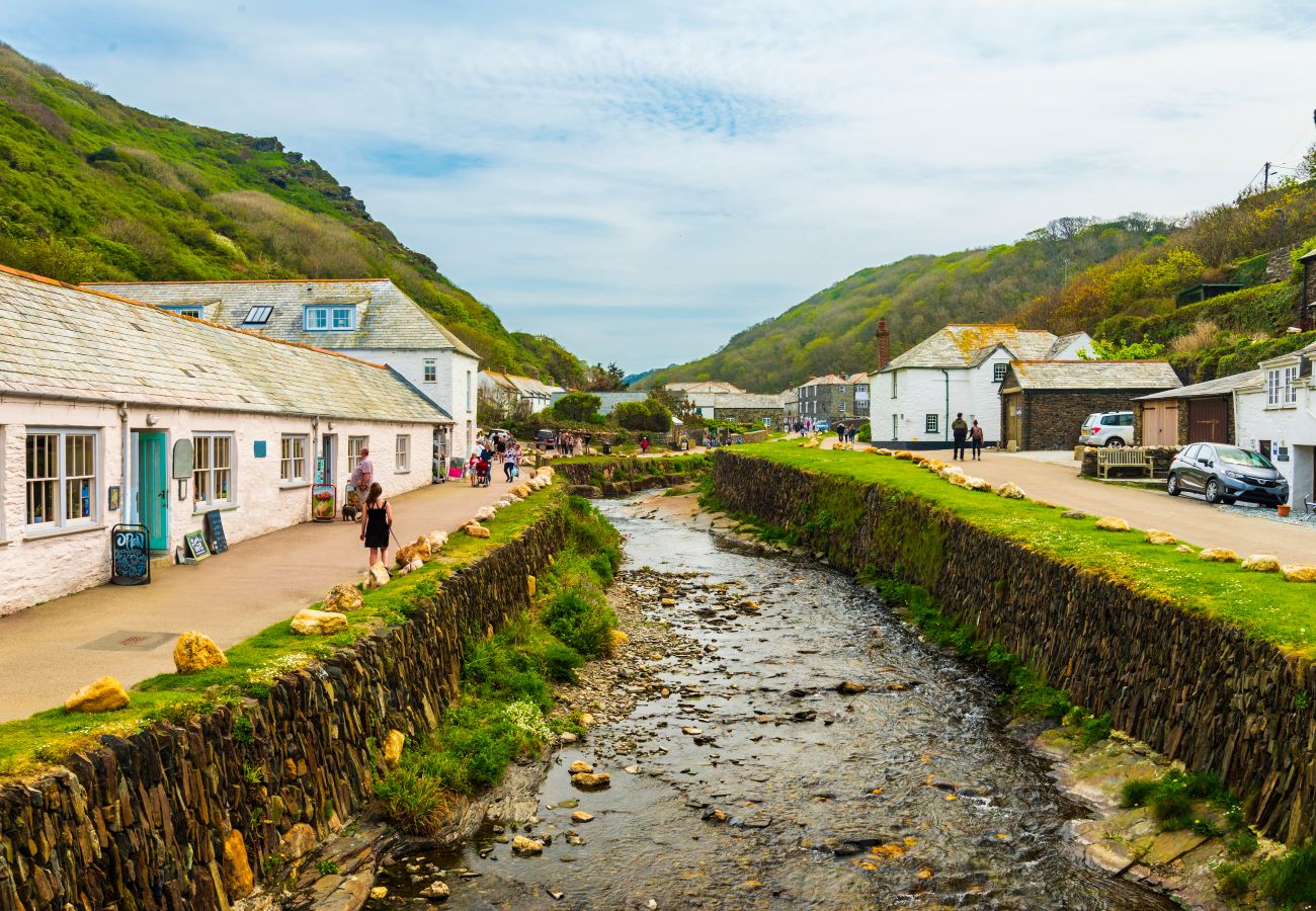 Studio in Boscastle - Jenny Wren