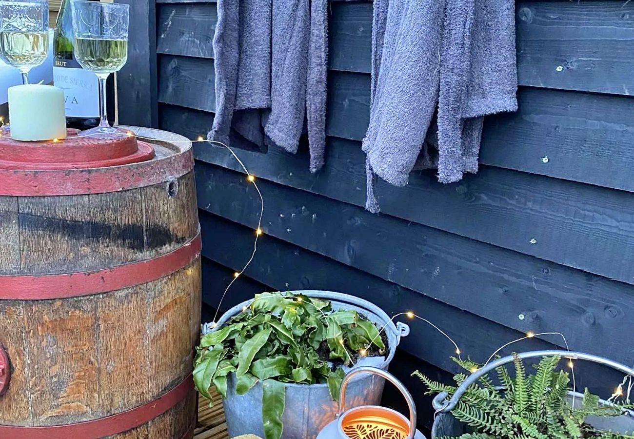 Studio in Llanfarian - Polypody Glamping Hut