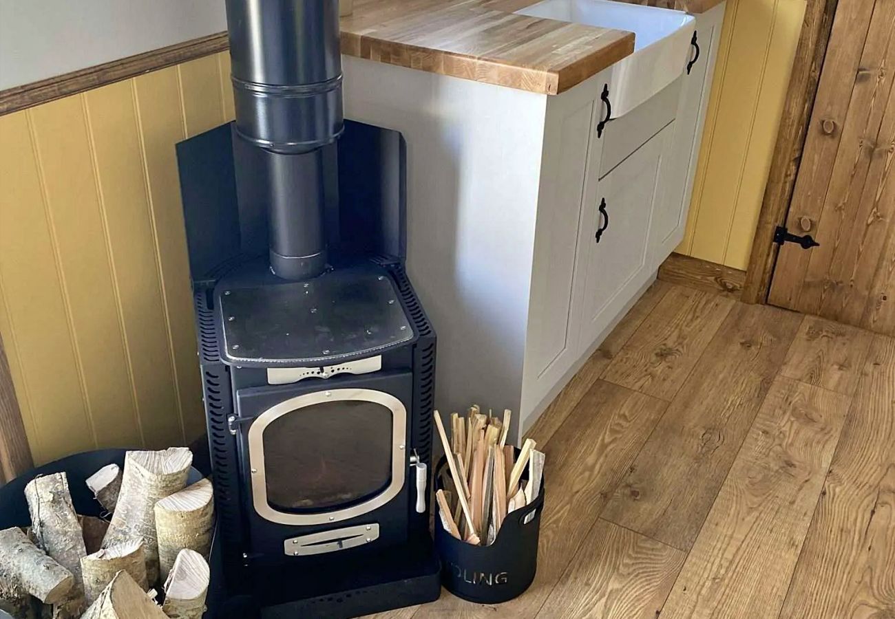 Studio in Llanfarian - Bracken Glamping Hut