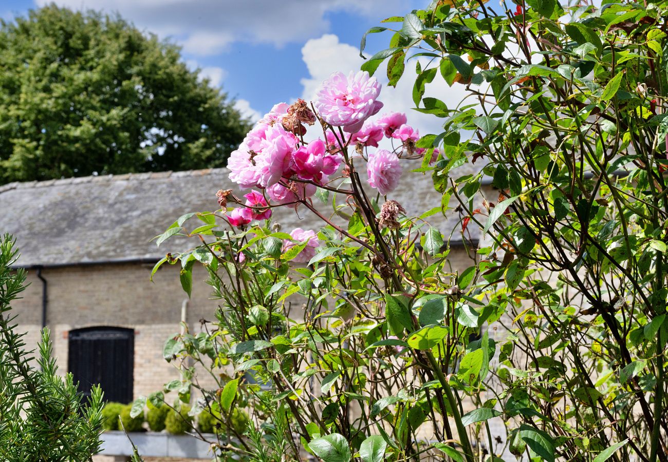 Landhaus in Pewsey - The Burrow at Conygre Farm