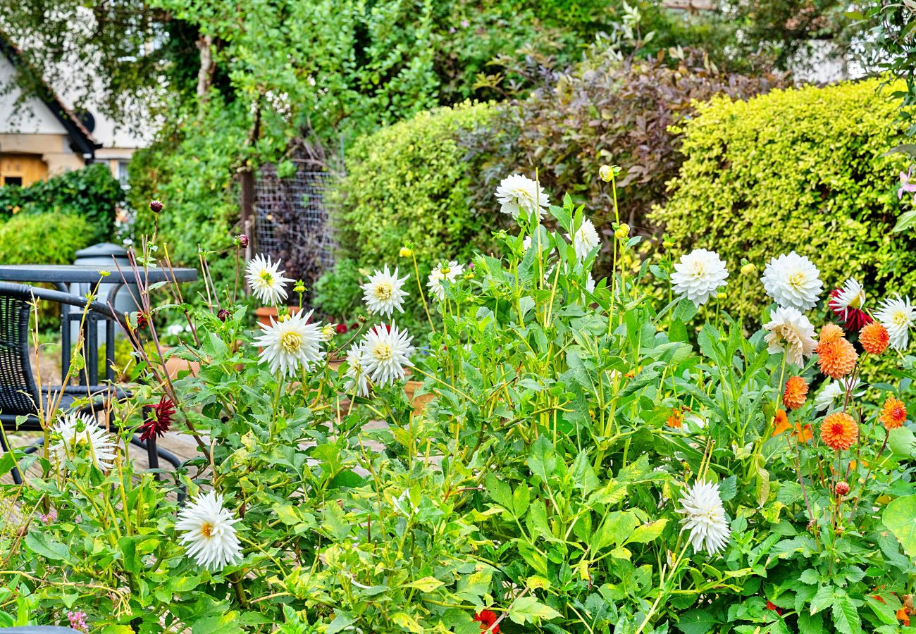 Landhaus in Stogursey - Clematis Cottage