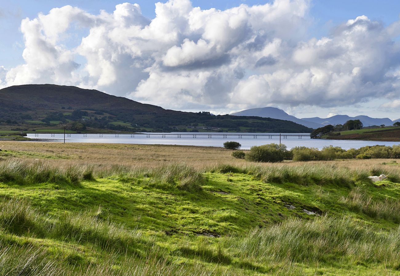 Blockhütte in Trawsfynydd - Mountain View