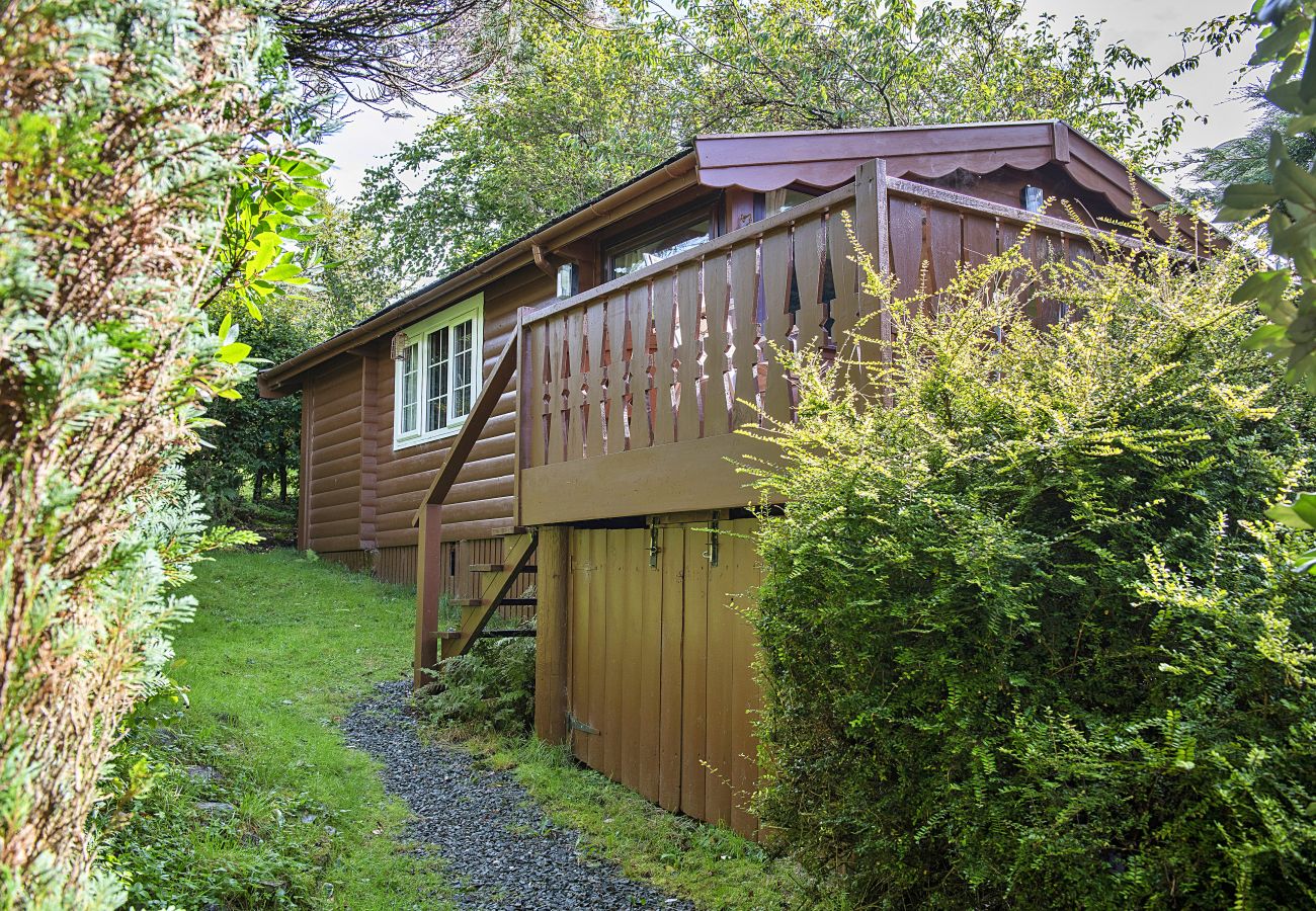 Blockhütte in Trawsfynydd - Mountain View