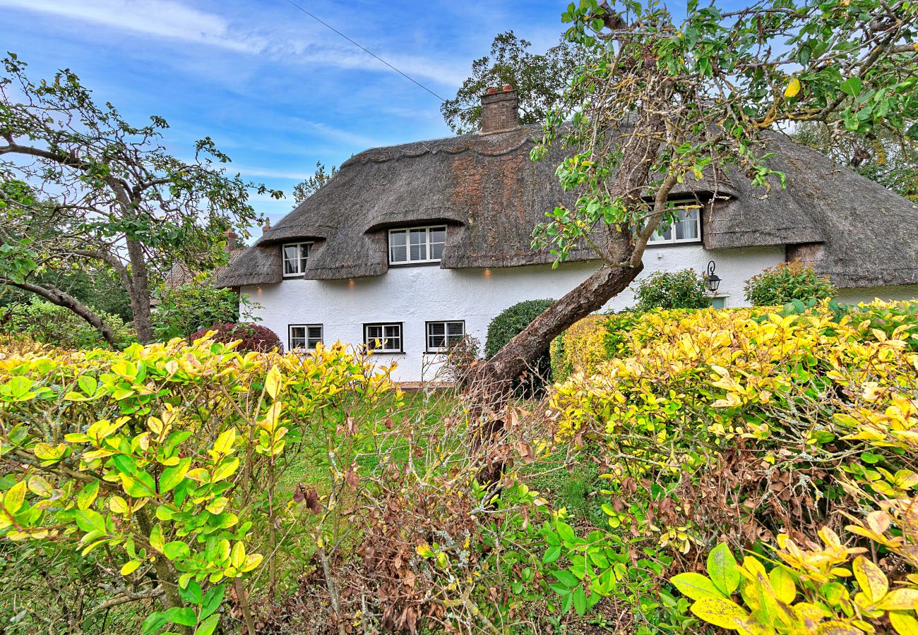 Landhaus in Roxton - Chocolate Box Cottage