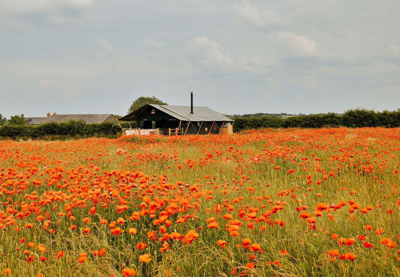 Chalet in Walsingham - Owls Nest