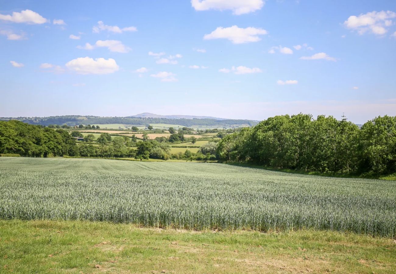 Landhaus in Onibury - The Onibury