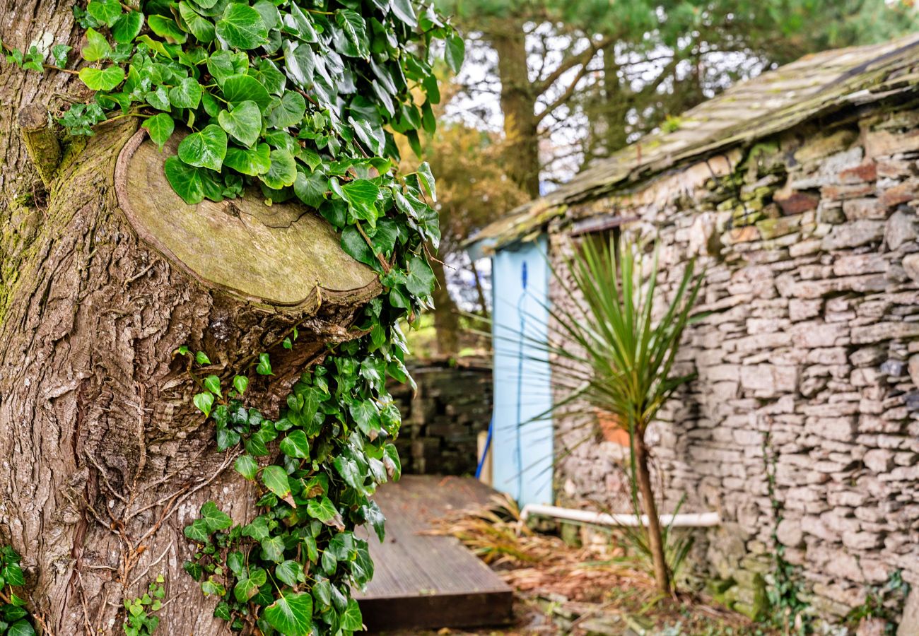 Landhaus in Bossiney - Fisherman's Cottage