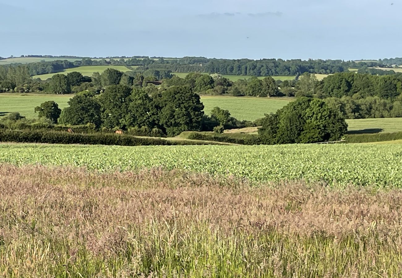 Blockhütte in Banbury - The Cornflower