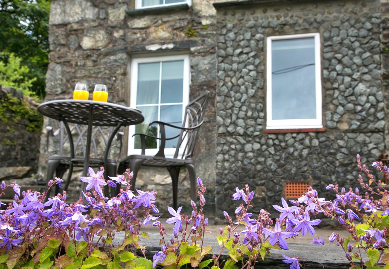 Landhaus in Blaenau Ffestiniog - Brondderwen