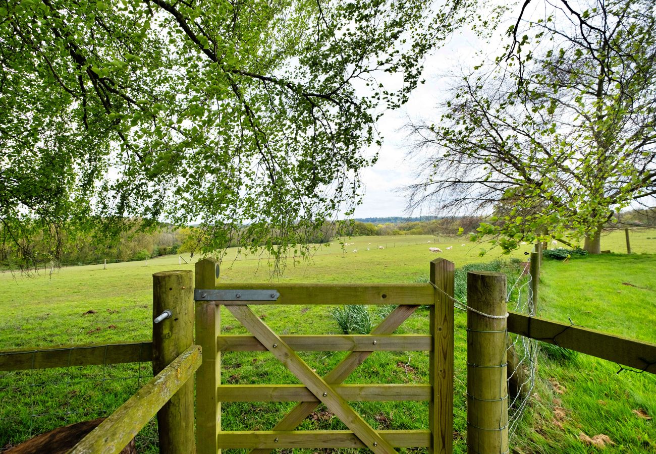 Blockhütte in Nordley - Hay and Hedgerow Glamping