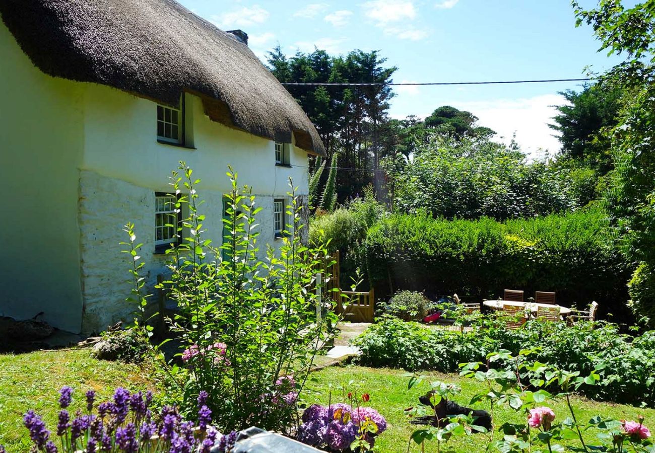 Landhaus in St Mawgan - Old Lanvean Cottage