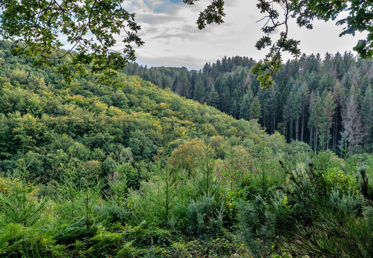 Landhaus in Umberleigh - Forest Park Lodge