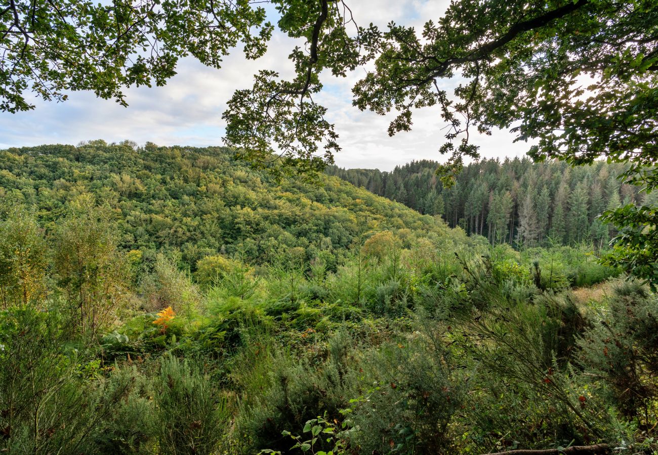 Landhaus in Umberleigh - Forest Park Lodge