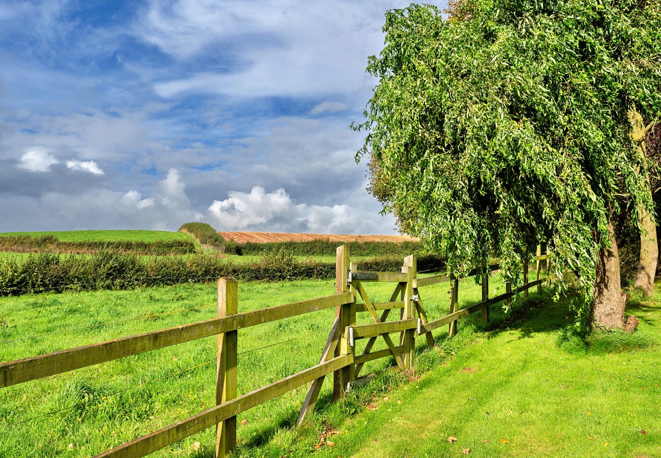 Landhaus in Pinksmoor - The Barn at Prowses Farm