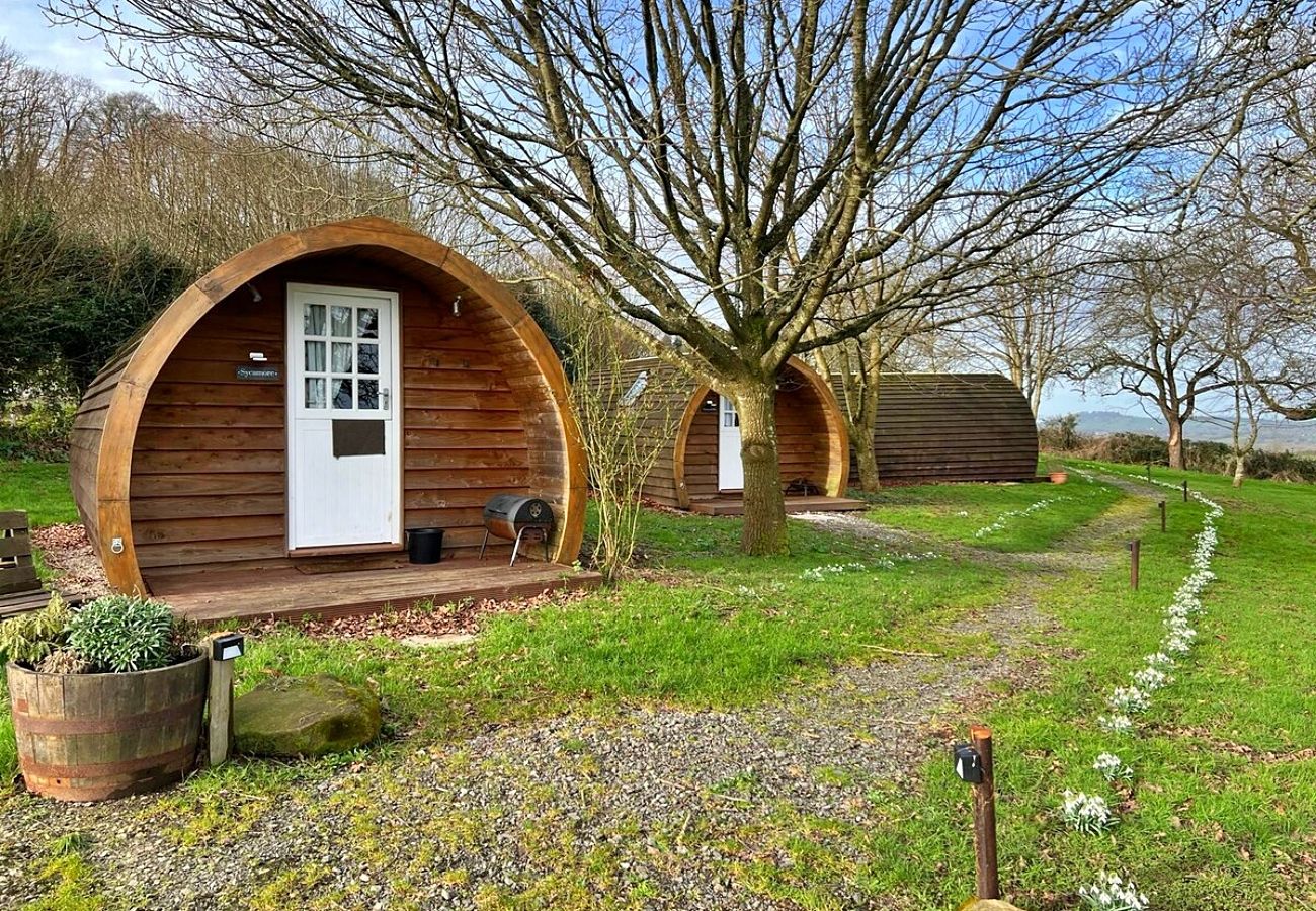 Chalet in Fownhope - Silverbirch Glamping Pod