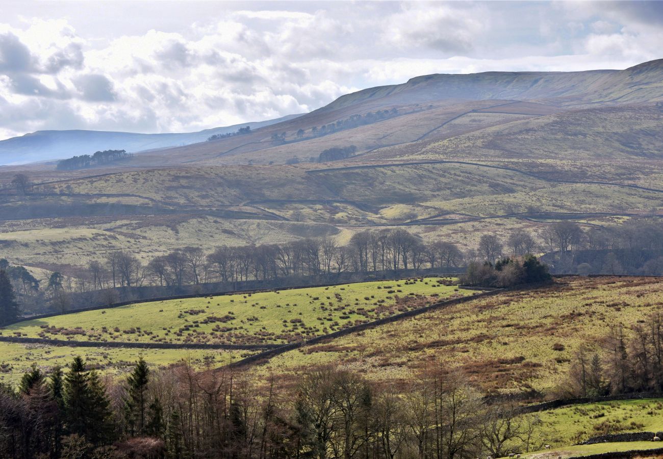 Landhaus in Hawes - Dales Barn Top