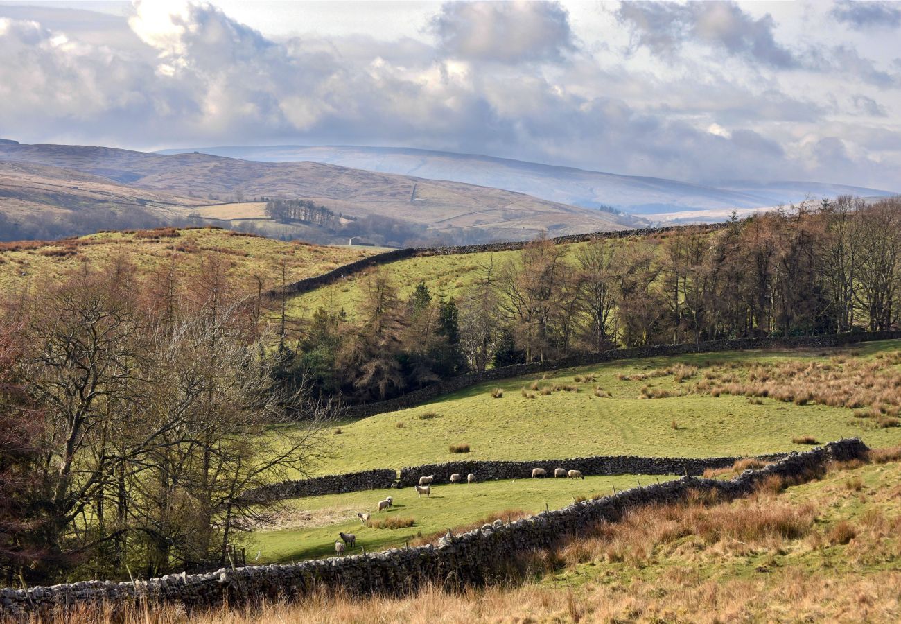 Landhaus in Hawes - Dales Barn Top