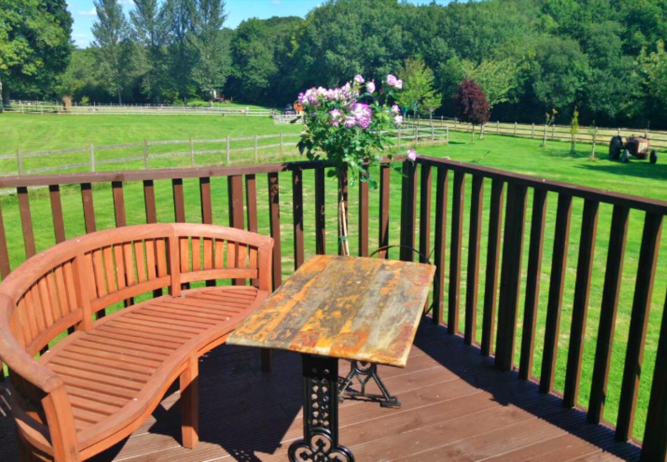 Chalet in Romsey - Shepherd's Hut at Hilltop Farm