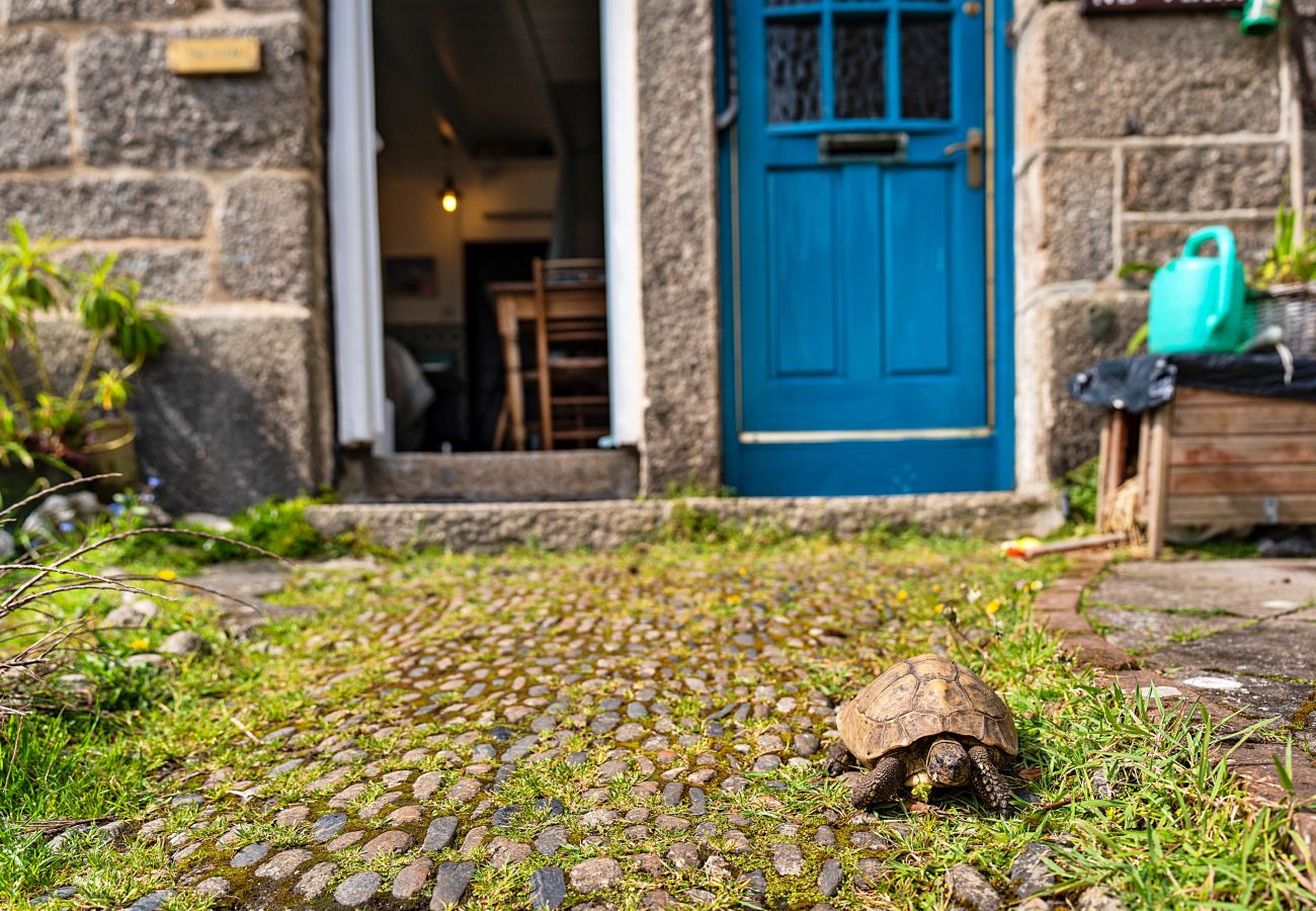 Cottage in Mousehole - Cosy Mousehole Cottage with Sea Views