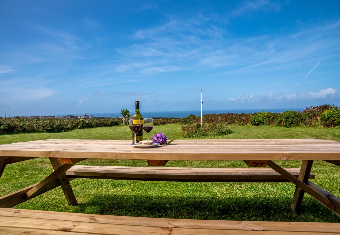 Cottage in Pendeen - Western Watch