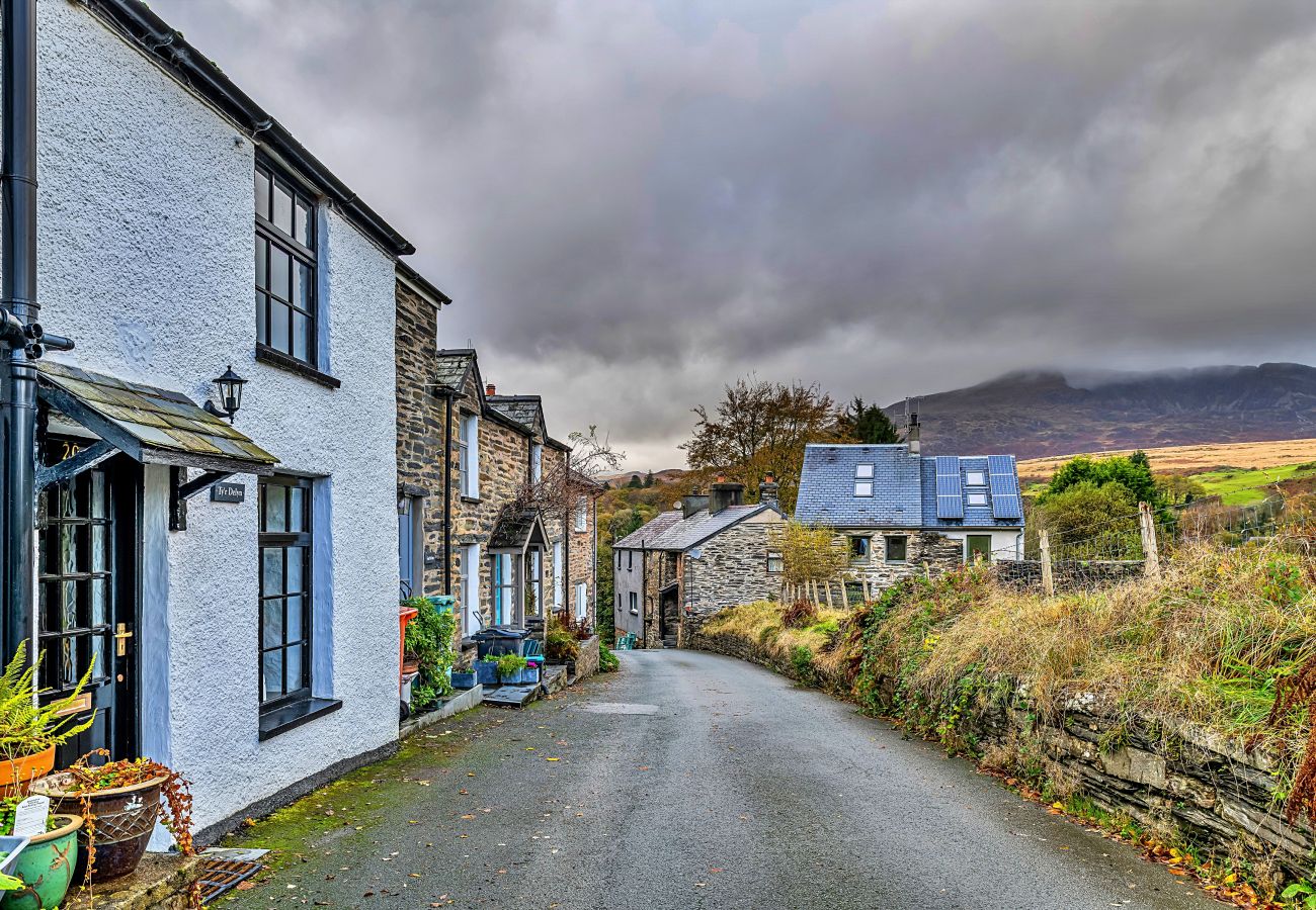 Cottage in Dolwyddelan - Ty'r Delyn