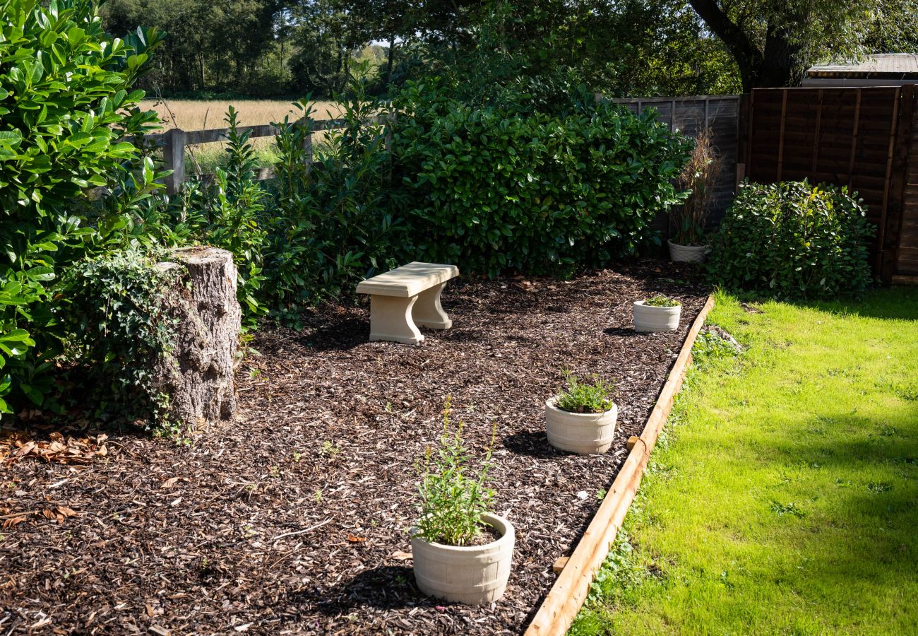 Cottage in Wedmore - The Annexe at Rosebud Cottage