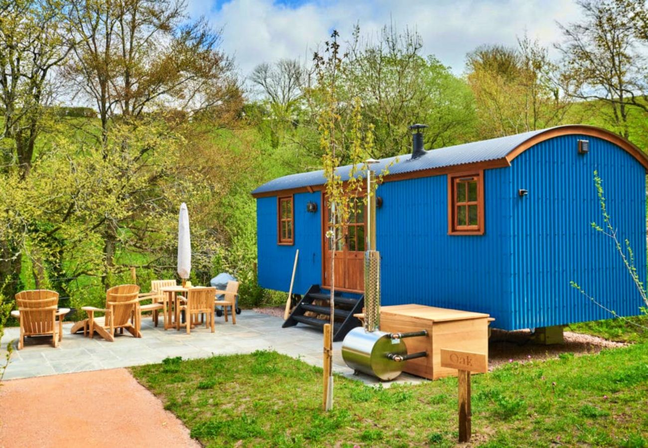 Chalet in Dittisham - Willow Luxury Shepherds Lodge