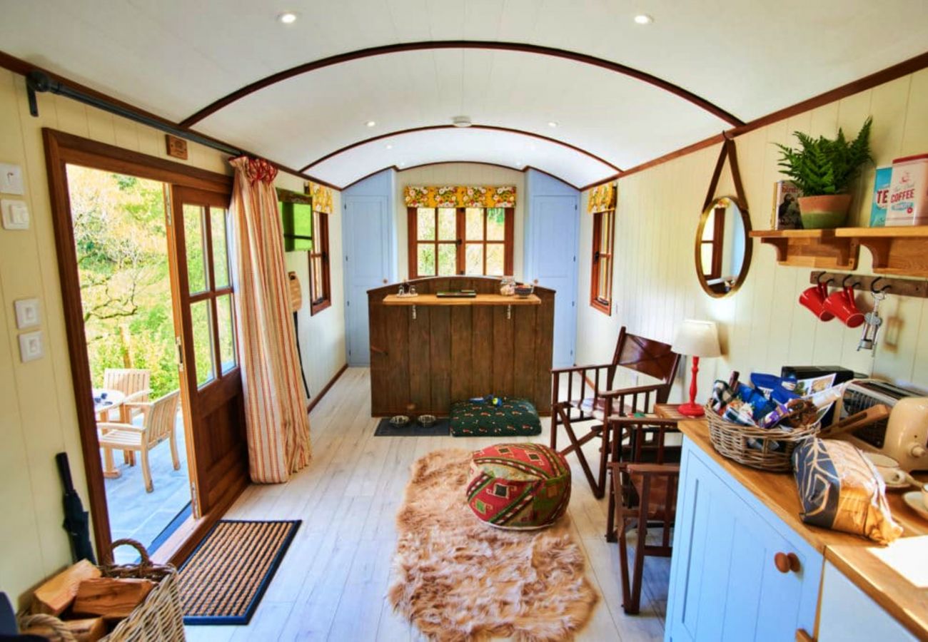 Chalet in Dittisham - Cedar Luxury Shepherds Lodge