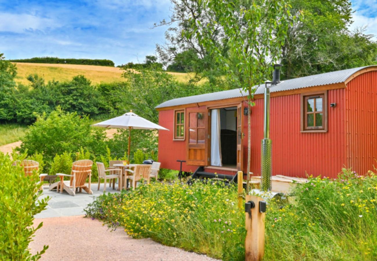 Chalet in Dittisham - Maple Luxury Shepherds Lodge