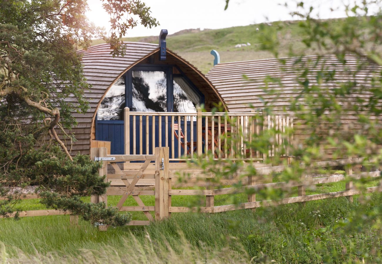 Chalet in Hexham - Blackcleugh Glamping