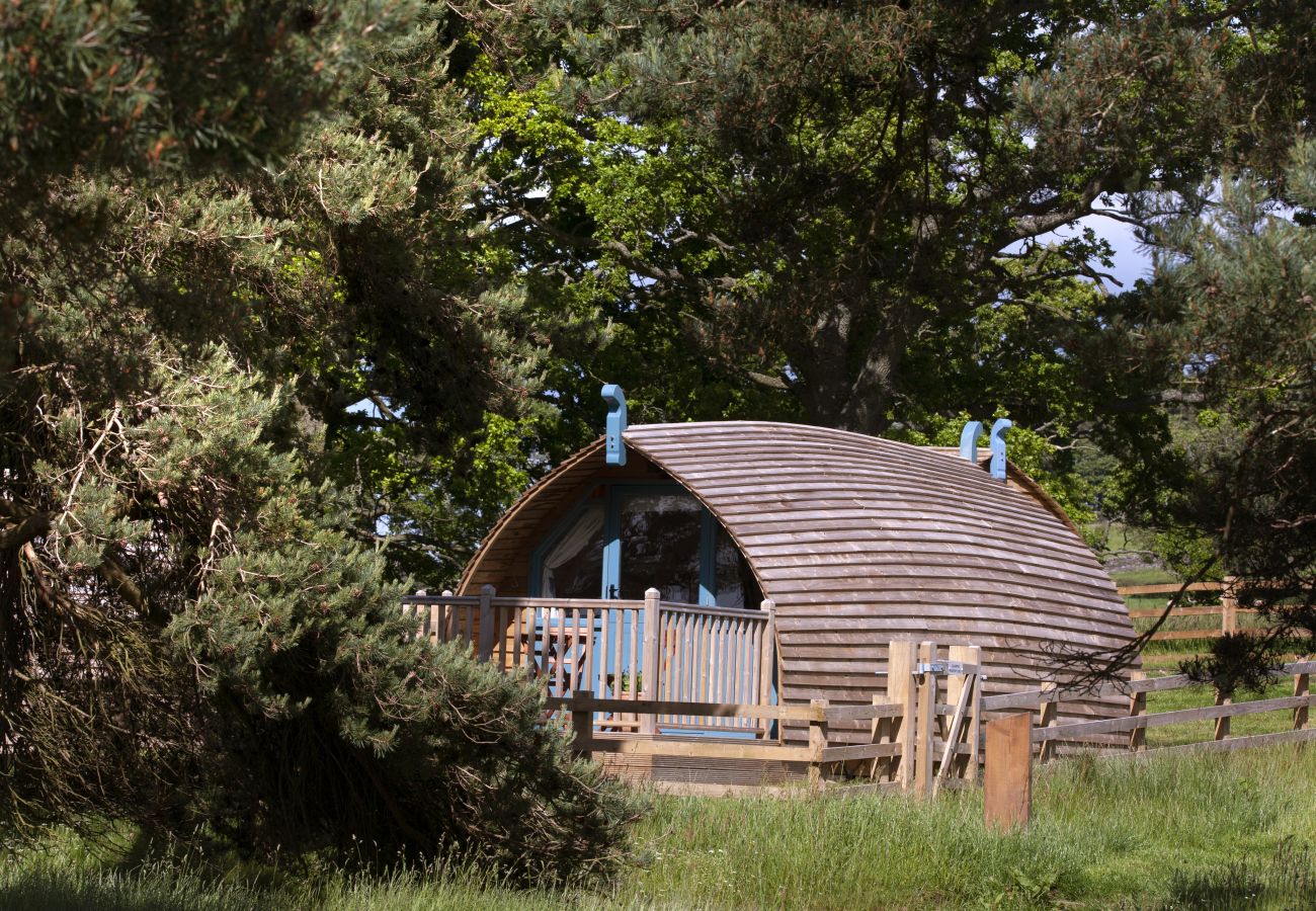 Chalet in Hexham - Blackcleugh Glamping