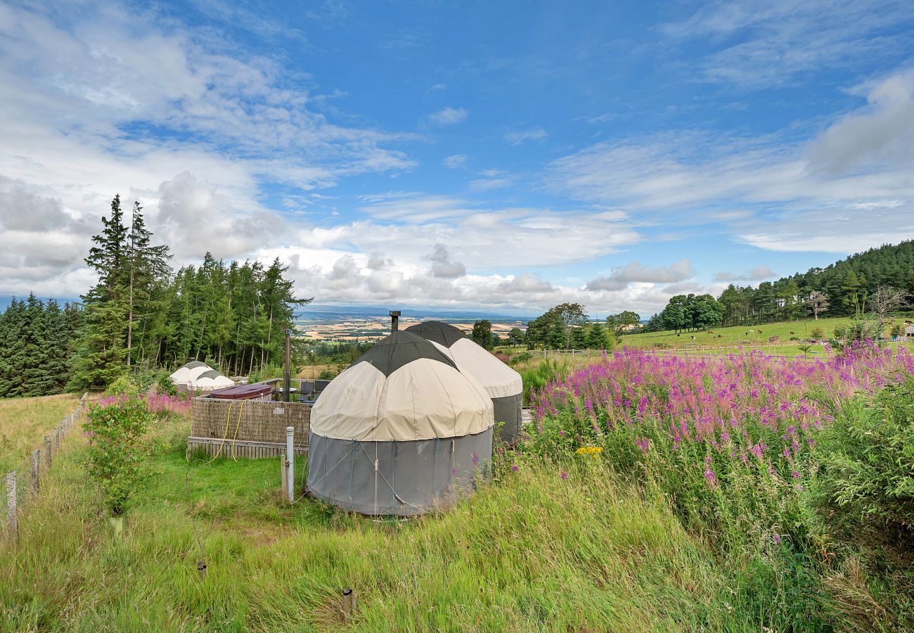 Chalet in Auchterarder - Bramble Yurt