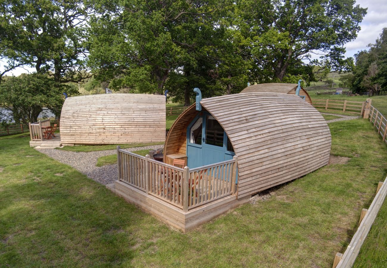 Chalet in Hexham - The Wonney's Glamping