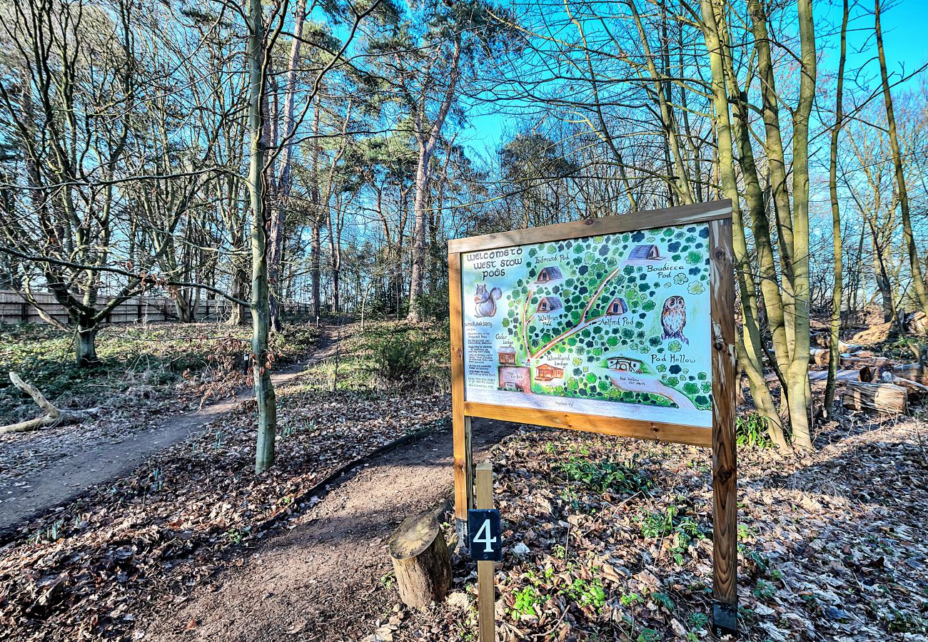 Chalet in Bury St Edmunds - Woodland Lodge